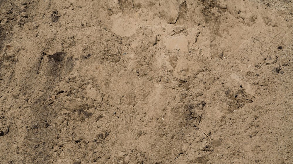 Карьерный песок в Ломоносове