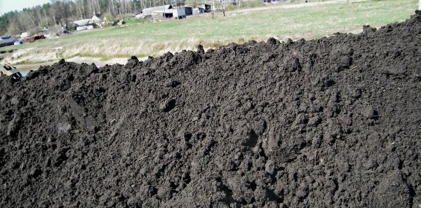 Доставка грунта в Мшинской