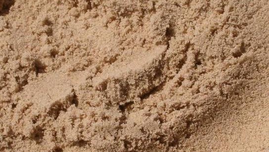 Песок намывной в Ломоносове